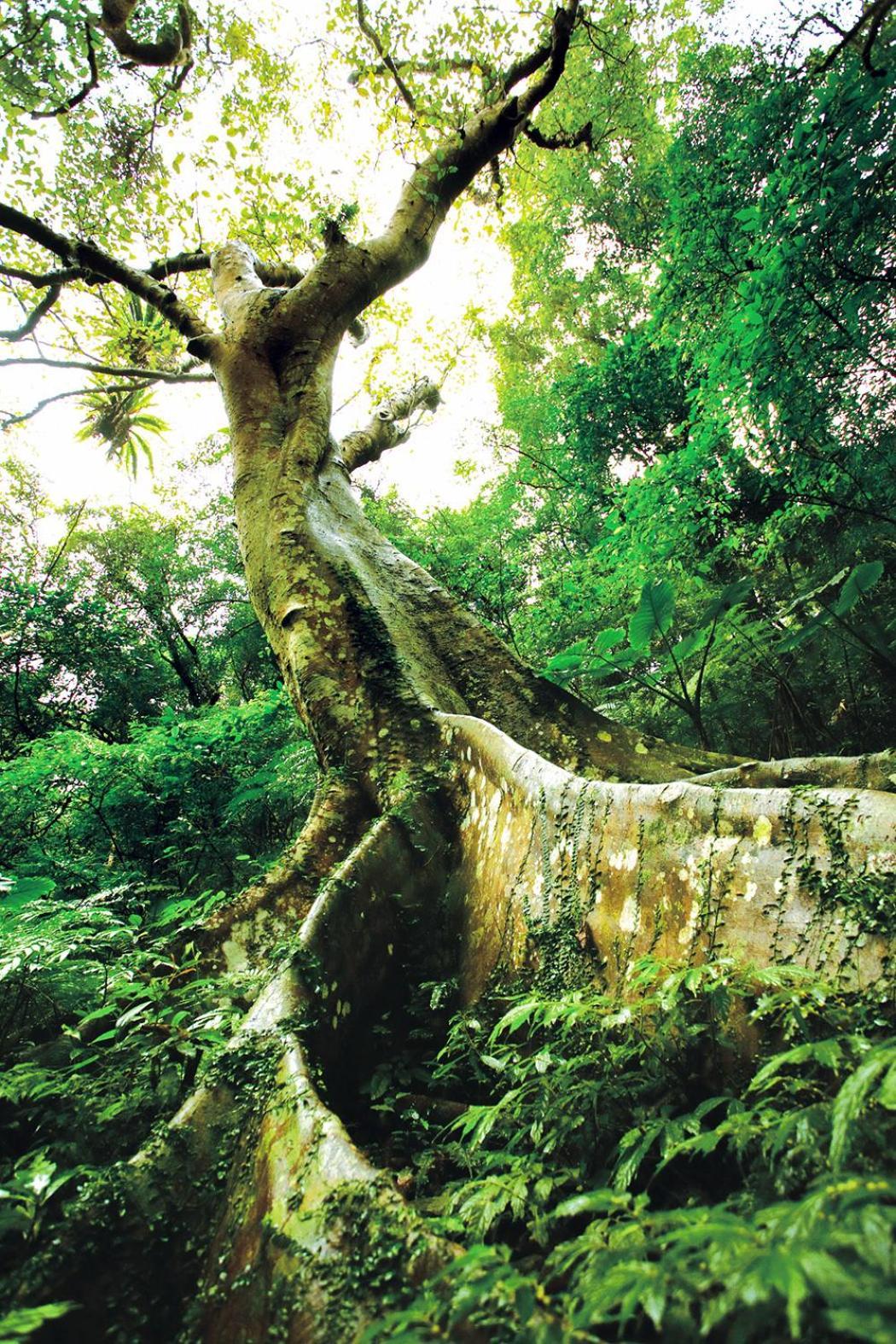 Great Roots Forestry Spa Resort Quận Tam Hạp Ngoại thất bức ảnh